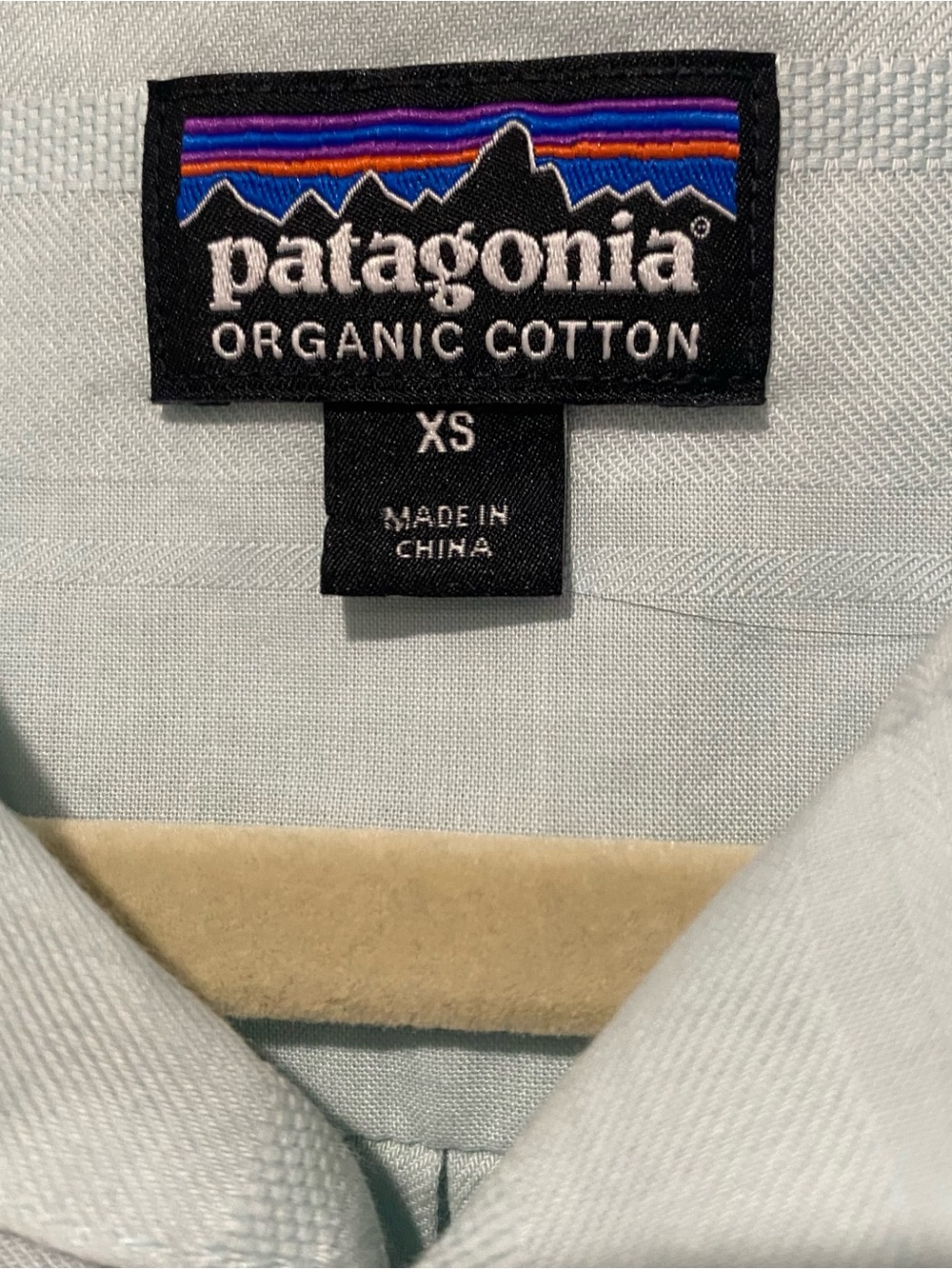 Patagonia Men's Light Mint Green Organic Cotton Button-Down Shirt
